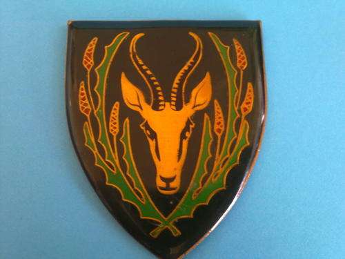 5 SA INFANTRY BATTALION METAL FLASH